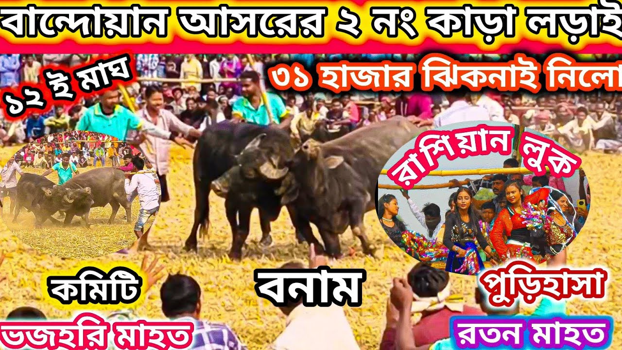বান্দোয়ান আসরের ২ নং কাড়া লড়াই।।ভজহরি মাহত বনাম রতন মাহত পুড়িহাসা চোখ তাড়া তাড়ি লড়াই @bharatb