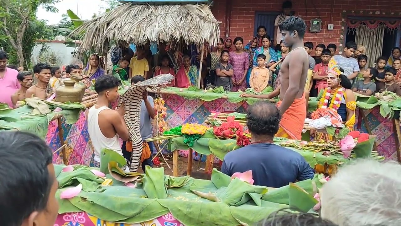 ୧୦୮ ପାଣି ଢାଳିଲା ପରେ ବି ଉଠିଲେ ନାହିଁ ଆସ 6ଦଖୀ ବା କାଳିୟ ଦଳଣ ସାକେରୀ ନୁଆ ସାହିରେ