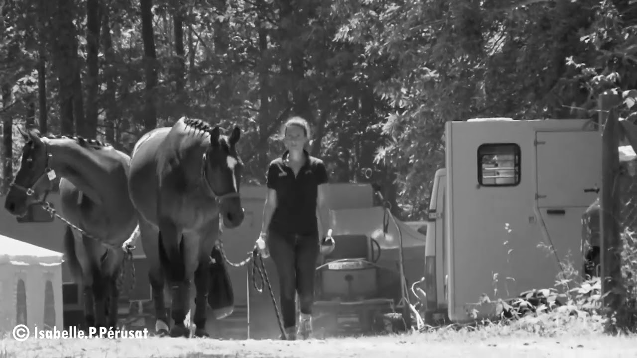 Sébastien Goyheneix, entraîneur para-dressage et attelage