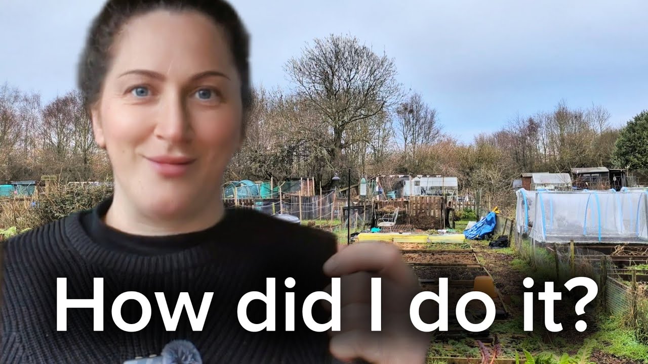 DIY Cold Frames & No Dig Asparagus Bed | Winter Allotment Projects - allotment vlog 9 (allotment UK)