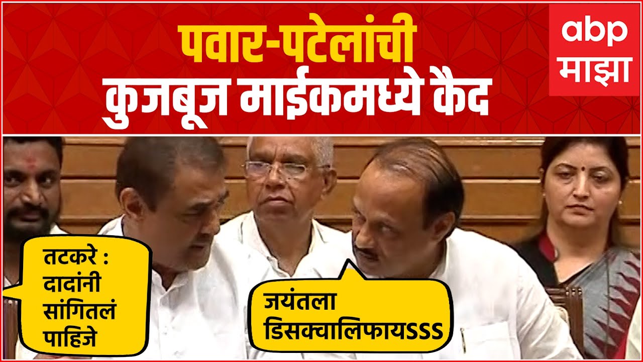 Praful Patel and Ajit Pawar : पवार-पटेलांची कुजबूज माईकमध्ये कैद : ABP Majha