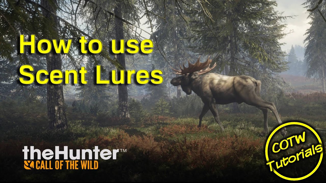 theHunter: Call of the Wild - How to use Scent Lures