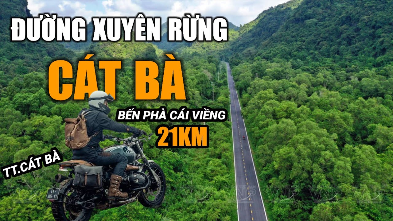 21KM từ TT.Cát Bà về Bến Phà Cái Viềng | Đường xuyên rừng đẹp mê hồn (07.03.2026)