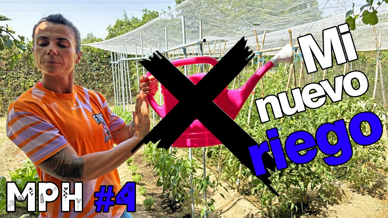 NUEVO sistema de RIEGO por INUNDACIÓN en mi huerto. ¡Ahorramos mucha agua con poco dinero!