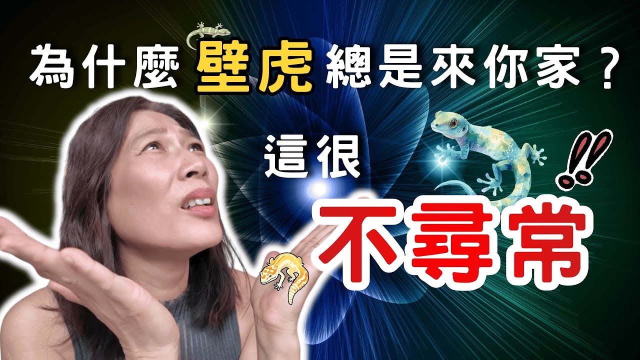 為什麼這些生物頻繁出現？揭開宇宙給你的「五大靈性訊號」！只有頻率一致，它們才會進入你的空間。