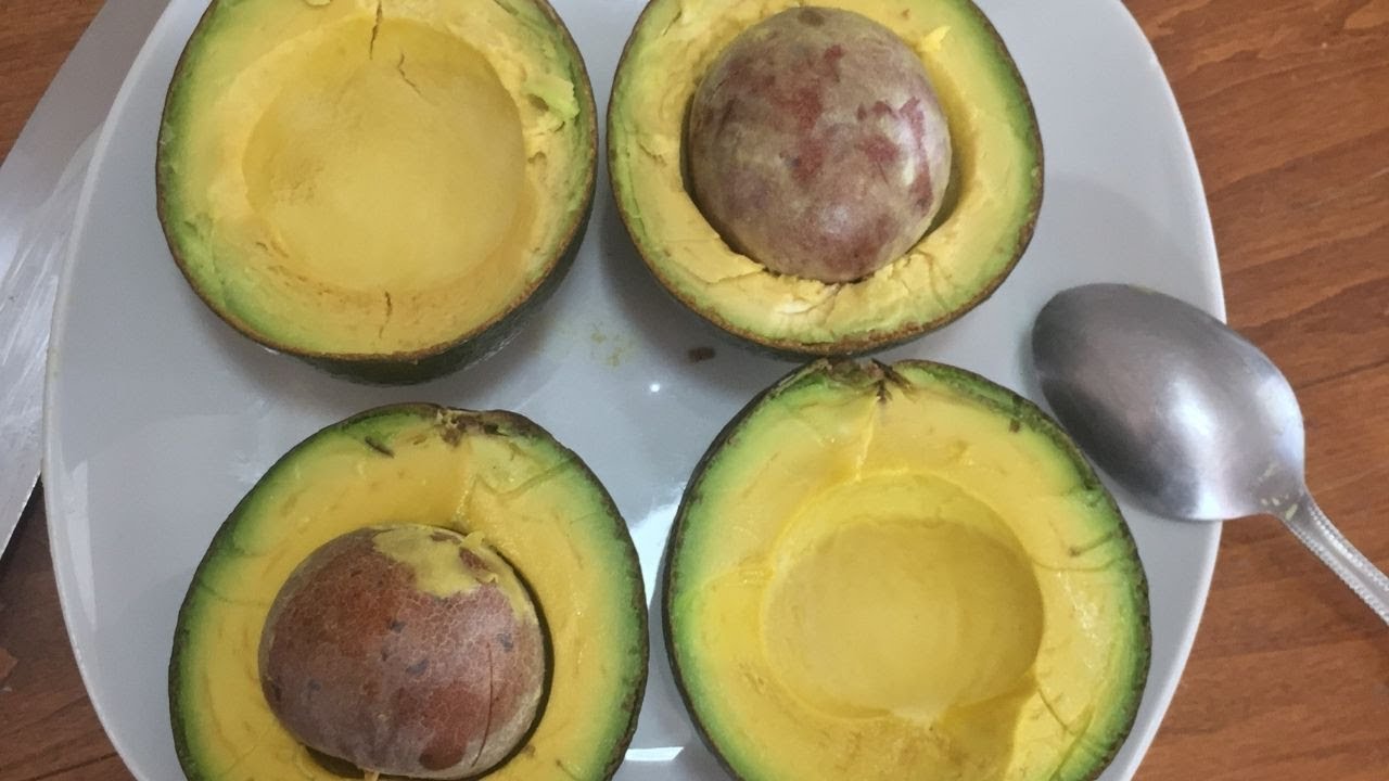 NABAL Avocado vs. REED Avocado Taste Test!