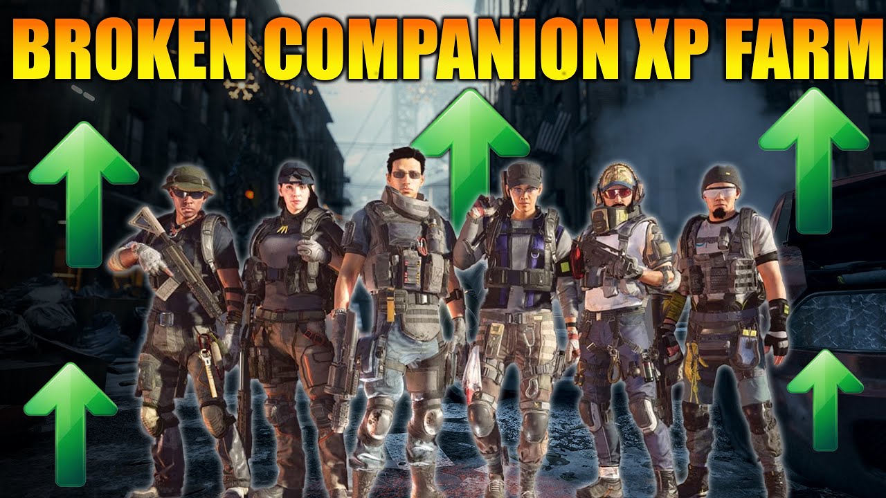 YOU ARE LEVELlING COMPANIONS WRONG! DO THIS NOW! 20 MIN = MAX LVL 3 | The Division 2 Xp Farm