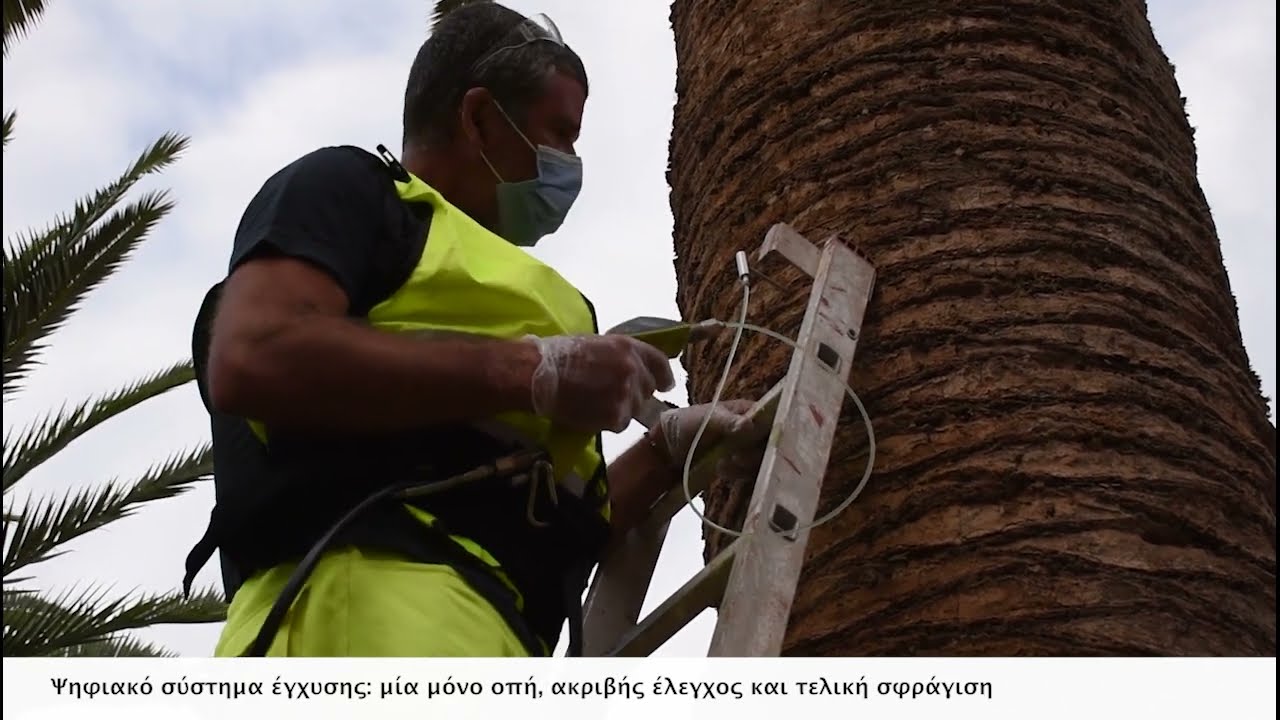 Σύντομο βίντεο 5 – Ελληνικά
