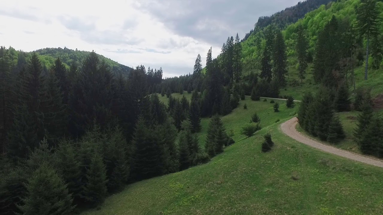 ASCENDENT IMOBILIARE Brasov- 9.000 mp,in imbratisarea purei naturi,partial impadurit
