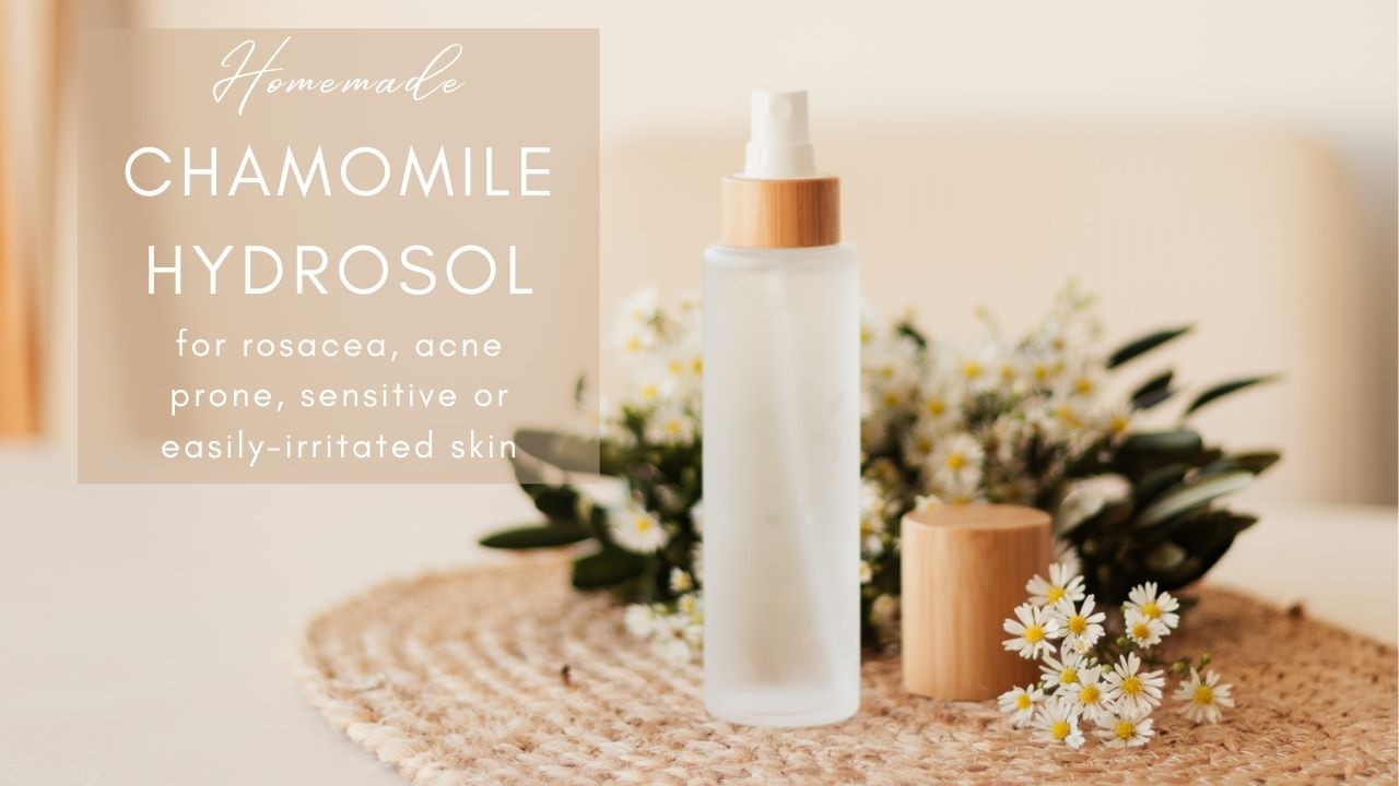 How to make a Chamomile Hydrosol with fresh or dried flowers