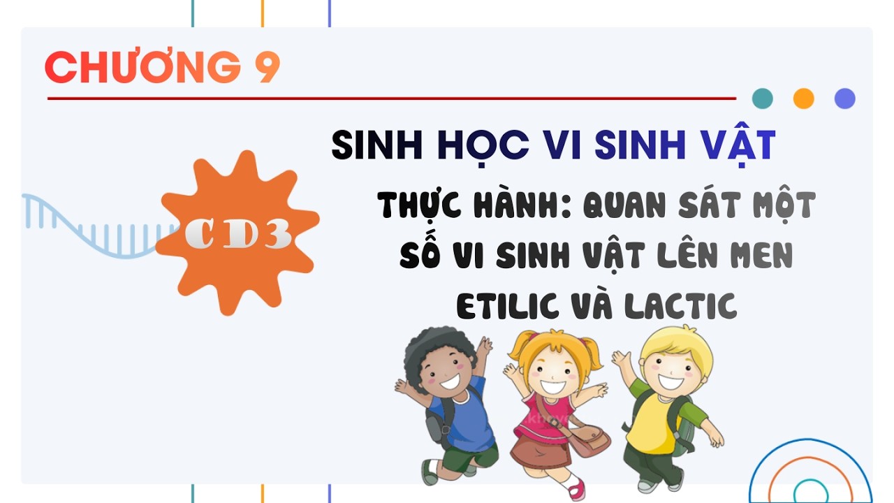 Sinh 10 |Chương 9| CĐ 3: THỰC HÀNH QUAN SÁT MỘT SỐ VI SINH VẬT LÊN MEN ETILIC VÀ LACTIC
