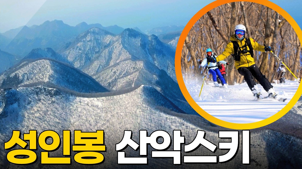 순백 설국에서의 질주! 성인봉 산악스키🏔️ [영상앨범 산] KBS 220320 방송