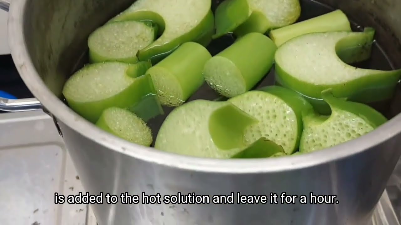 Soda Pulping, Handsheet Making and Testing