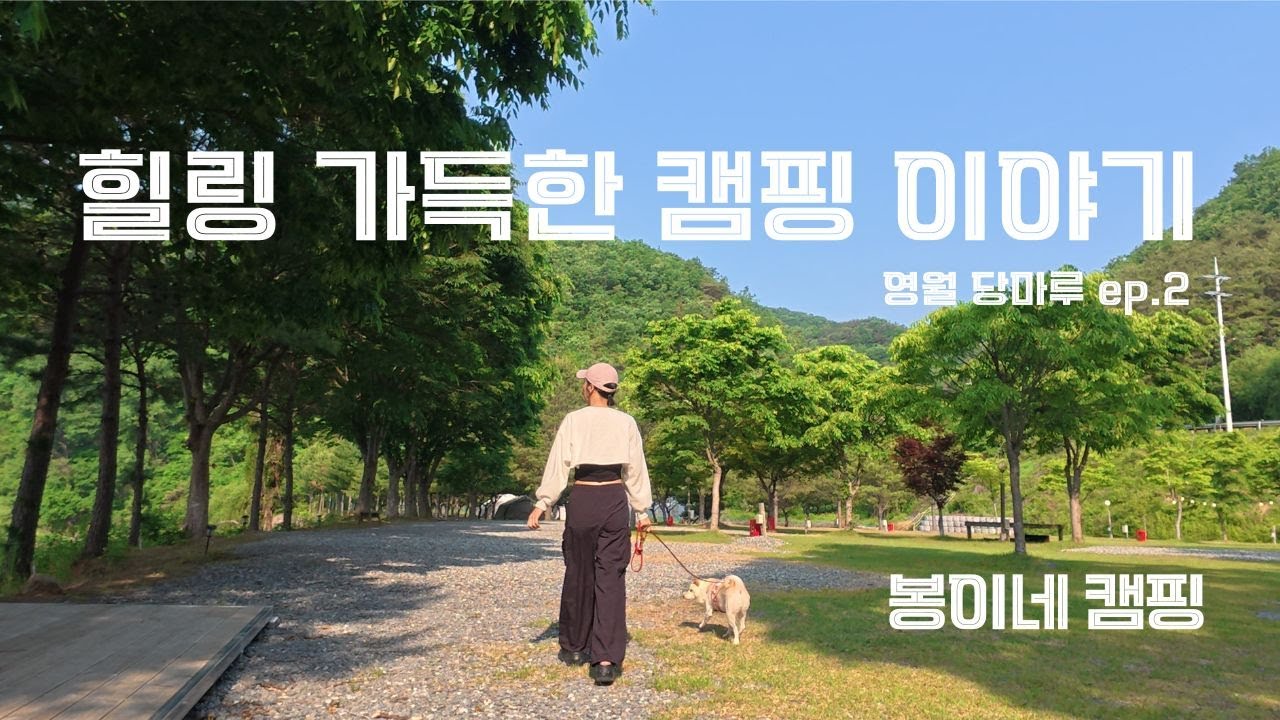 영월 캠핑장  ep.2 ㅣ 힐링 가득한 오로라 불멍 해보기 ㅣ 음식에 진심인 은봉이의 캠핑요리 이야기
