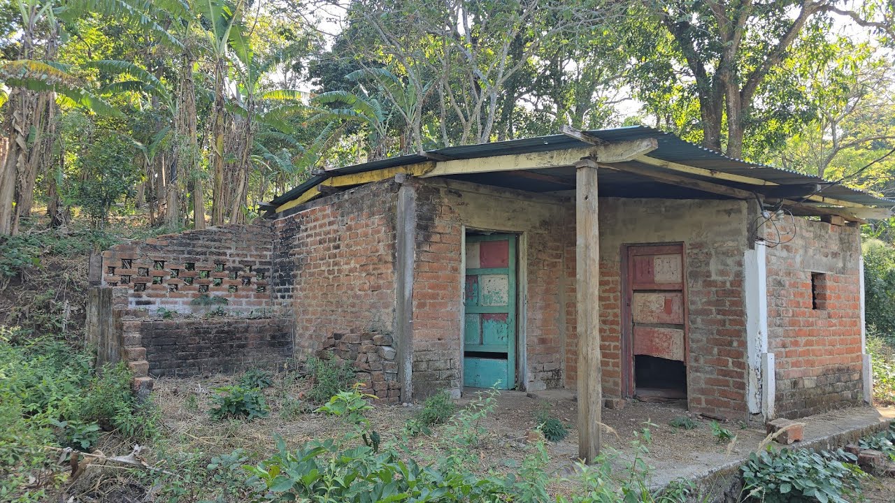 Una Hermosa y Acogedora Casita en El Bosque en Completo Abandono da tristeza ver esto 