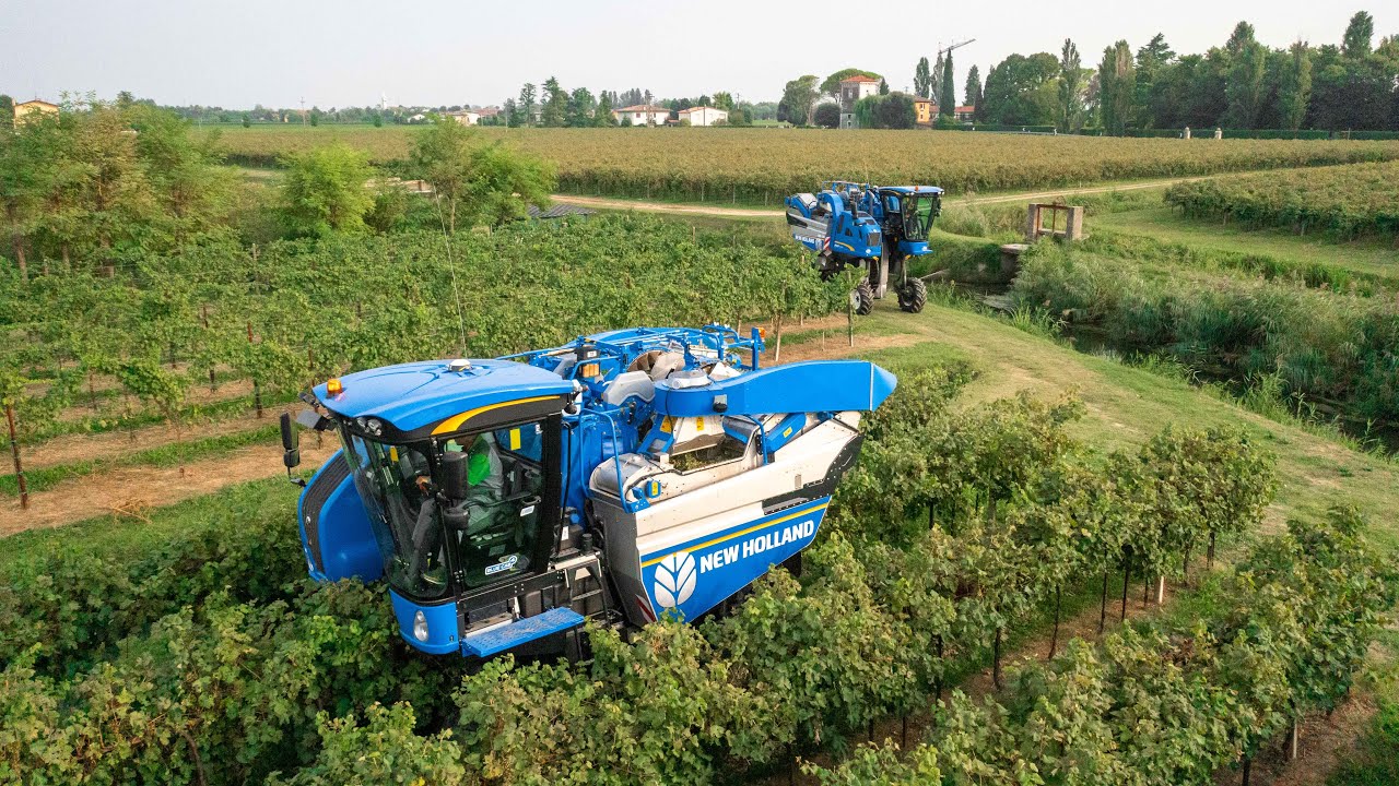 Просекко Харвест № 2 New Holland Braud 9090L | РОМАН