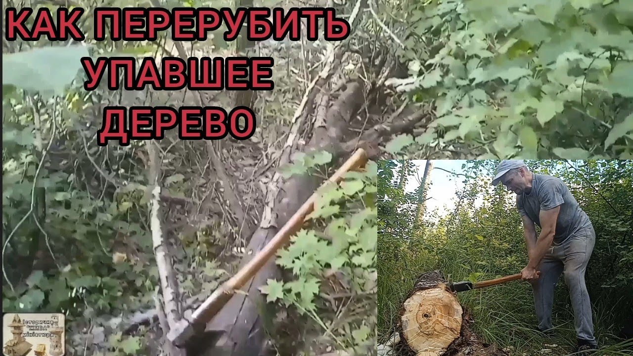 Рубка бревна, как перерубить упавшее дерево 🌲 топором 🪓, теория и практика.