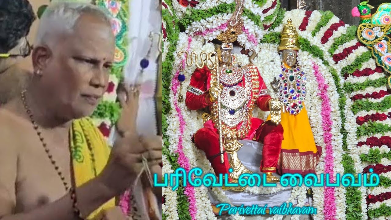 பரிவேட்டை வைபவம்/மருதீஸ்வரர்  குருக்கள் விளக்கம்/பங்குனி உத்திரம்2024, 8ம் நாள்/ திருவான்மியூர்.