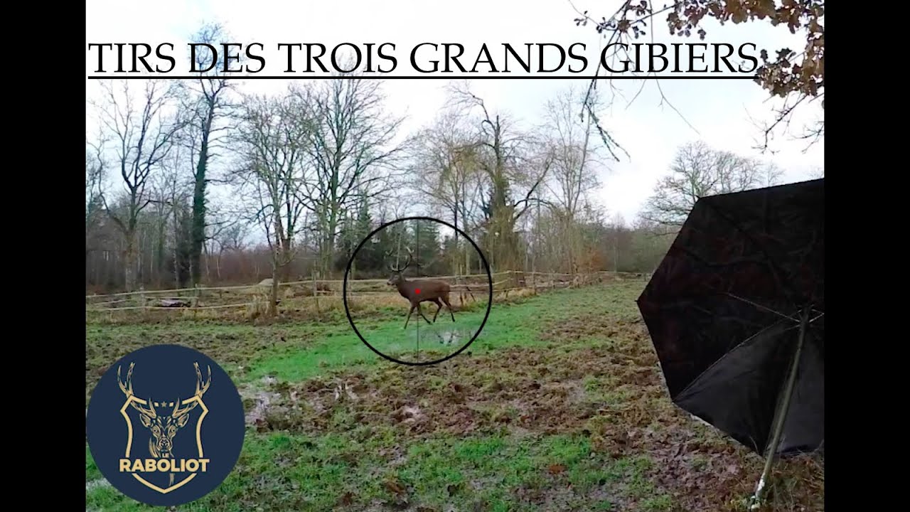 Chasse aux grands gibiers : Tir d&rsquo;un cerf, d&rsquo;une biche et d&rsquo;un sanglier! Battue de Folie!