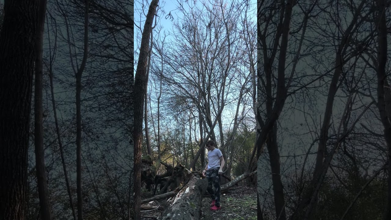 Part 1 house in woods my birthday is today jan 13th