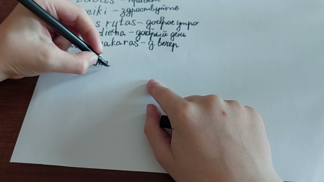 2 урок. Приветствие и прощание в литовском языке.🇱🇹#уроки #изучение