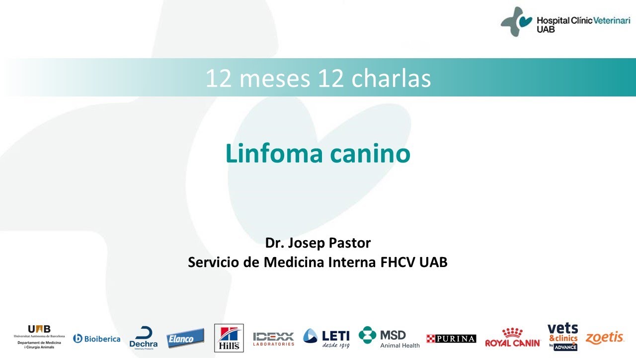 12 Meses 12 Charlas. Linfoma canino