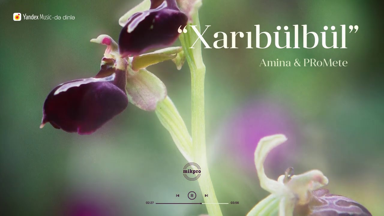 Amina x PRoMete - XarıBülbül