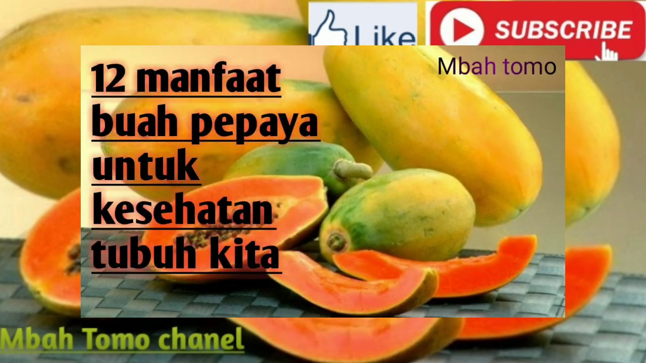 12 manfaat buah pepaya untuk kesehatan