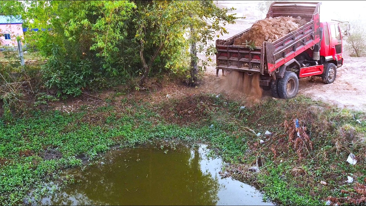 First Start New PROJECT!! Filling Land Delete Stop Use Deep Fish Pond Use D31p Dozer & 5Ton Truck.