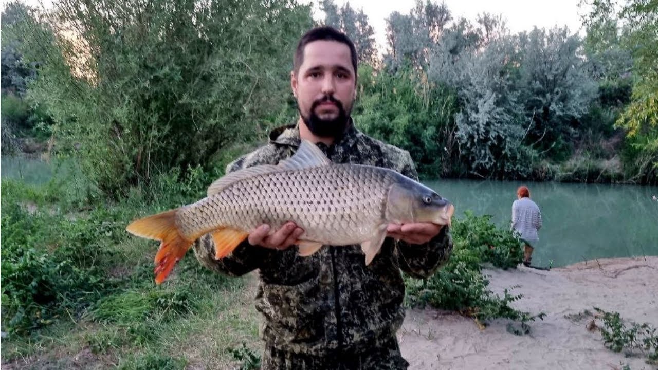 Наше открытие рыбалки на реке Или, июнь ,район Аралтобе,сазан,карась. Дата выезда 10.06-12.06.2022!!