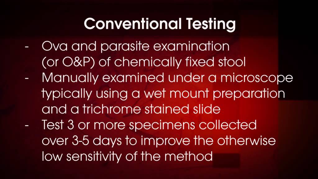 Spotlight on Testing: Molecular Diagnostics of Gastrointestinal Parasites