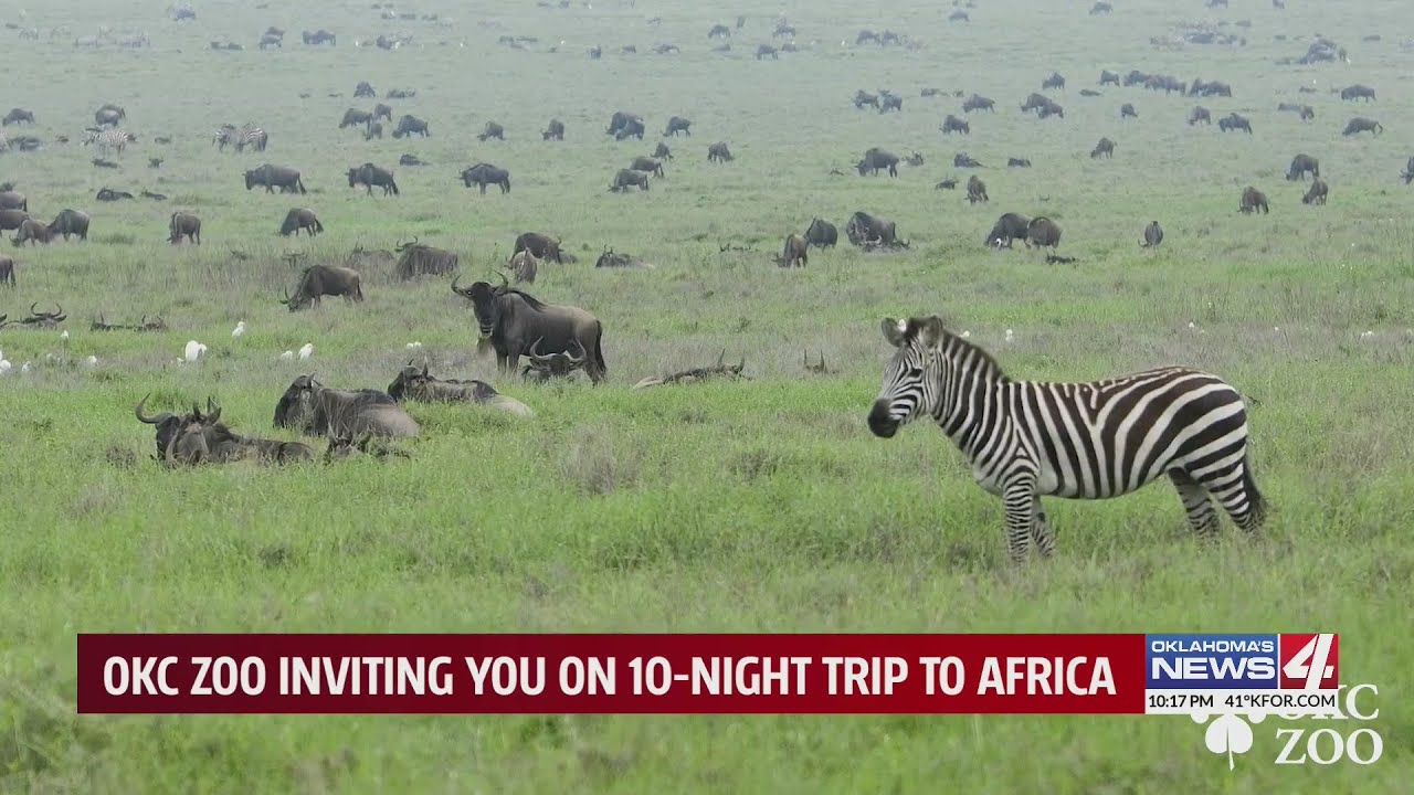 Oklahoma City Zoo organizing conservation trip to Tanzania, Oklahomans invited to join