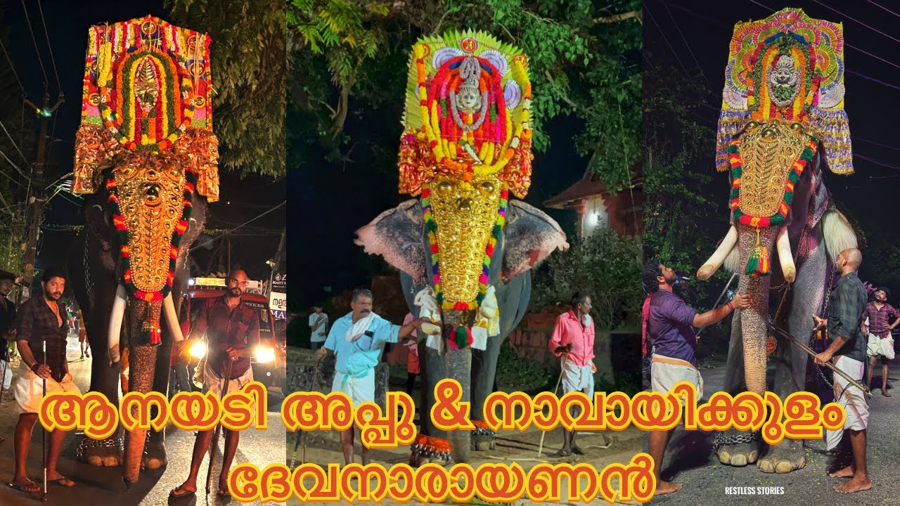 നാവായിക്കുളം ദേവനാരായണൻ & ആനയടി അപ്പു കൊല്ലത്ത്‌ പരുപാടിക്  എത്തിയപ്പോൾ..! |Restless Stories|