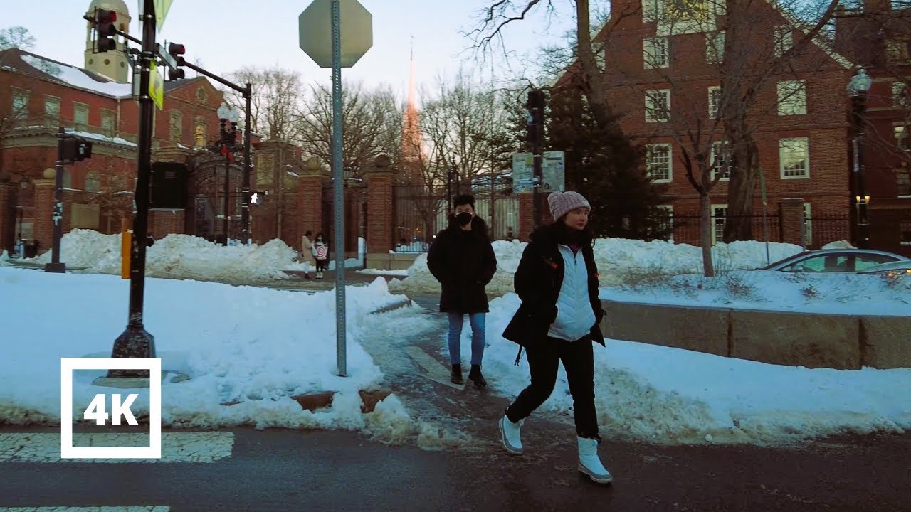 4K | Harvard Night After Winter Snowstorm Cambridge Boston