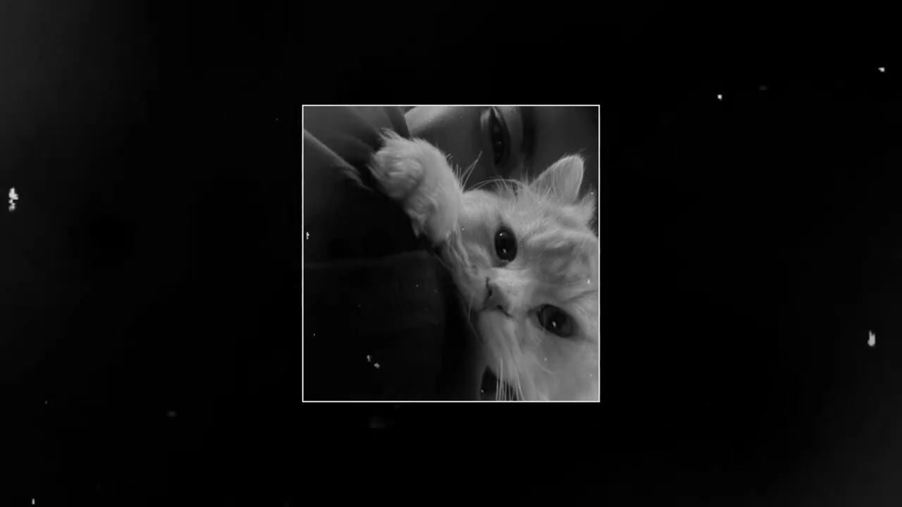 (FREE) MACAN x BAKR x XCHO Type Beat - 