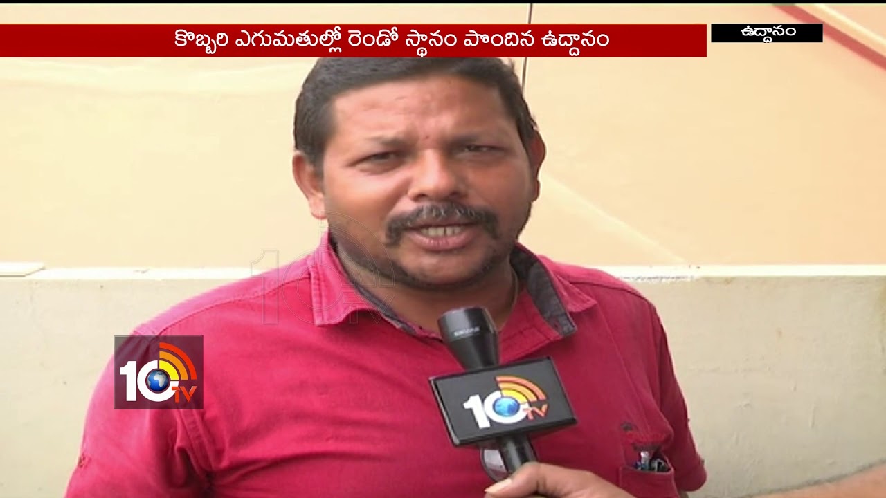 కష్టాల్లో ఉద్దాన్న కొబ్బరి రైతు..| Coconut Farmers Difficulties | Srikakulam |  10TV