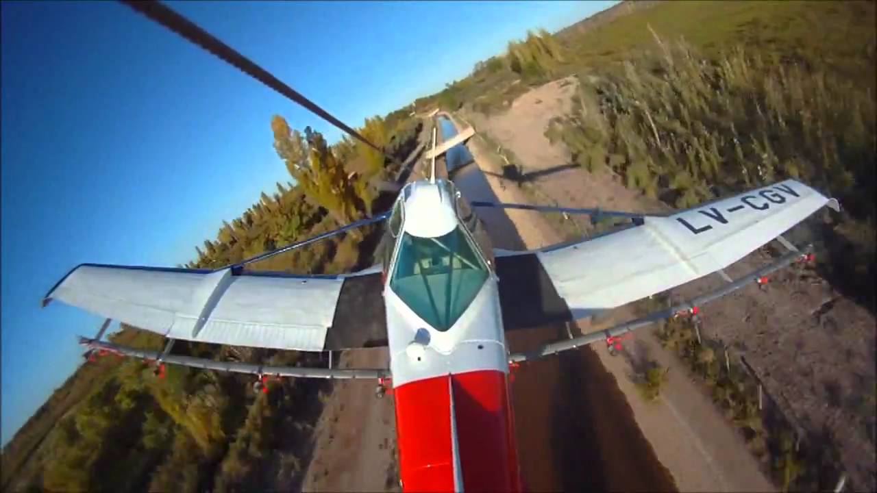 Volando bajo