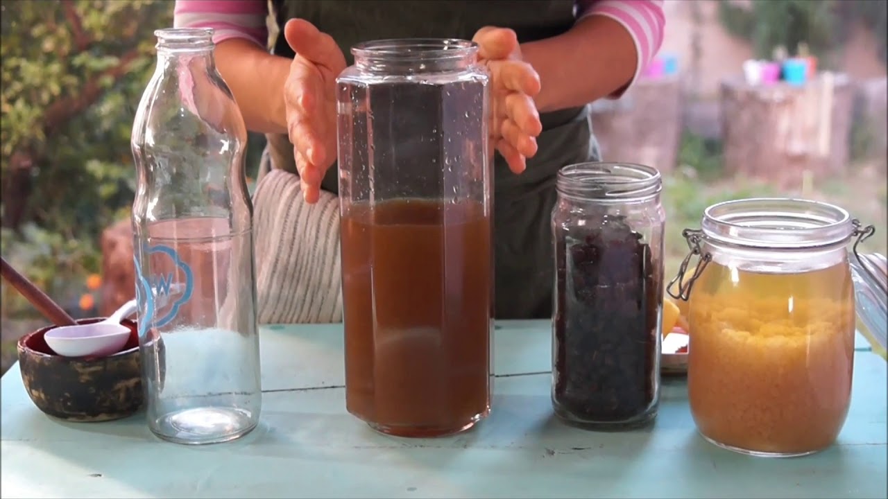 Kéfir de Agua (paso a paso)