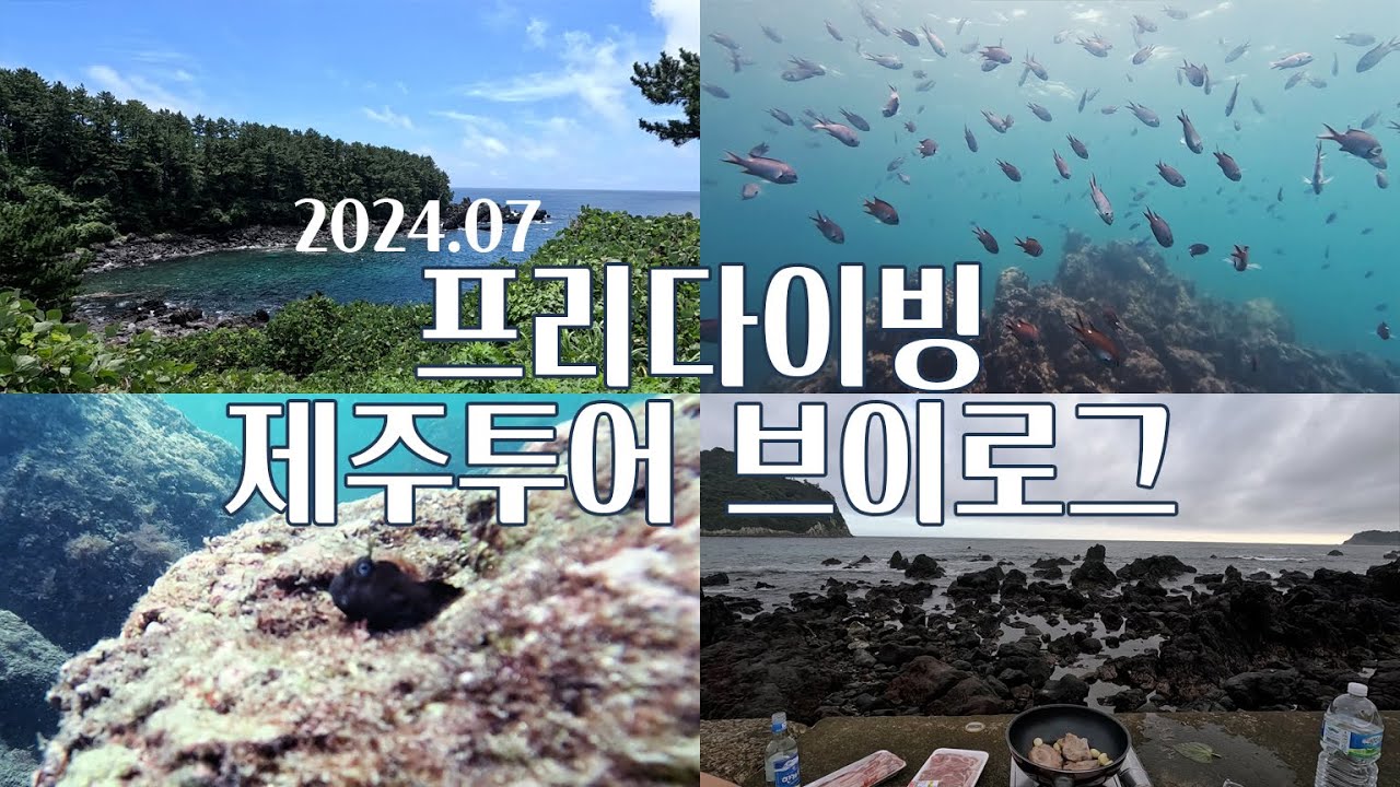 일년만에 다녀온 제주투어 ㅣ 제주도 · 프리다이빙 · 메르프리다이빙