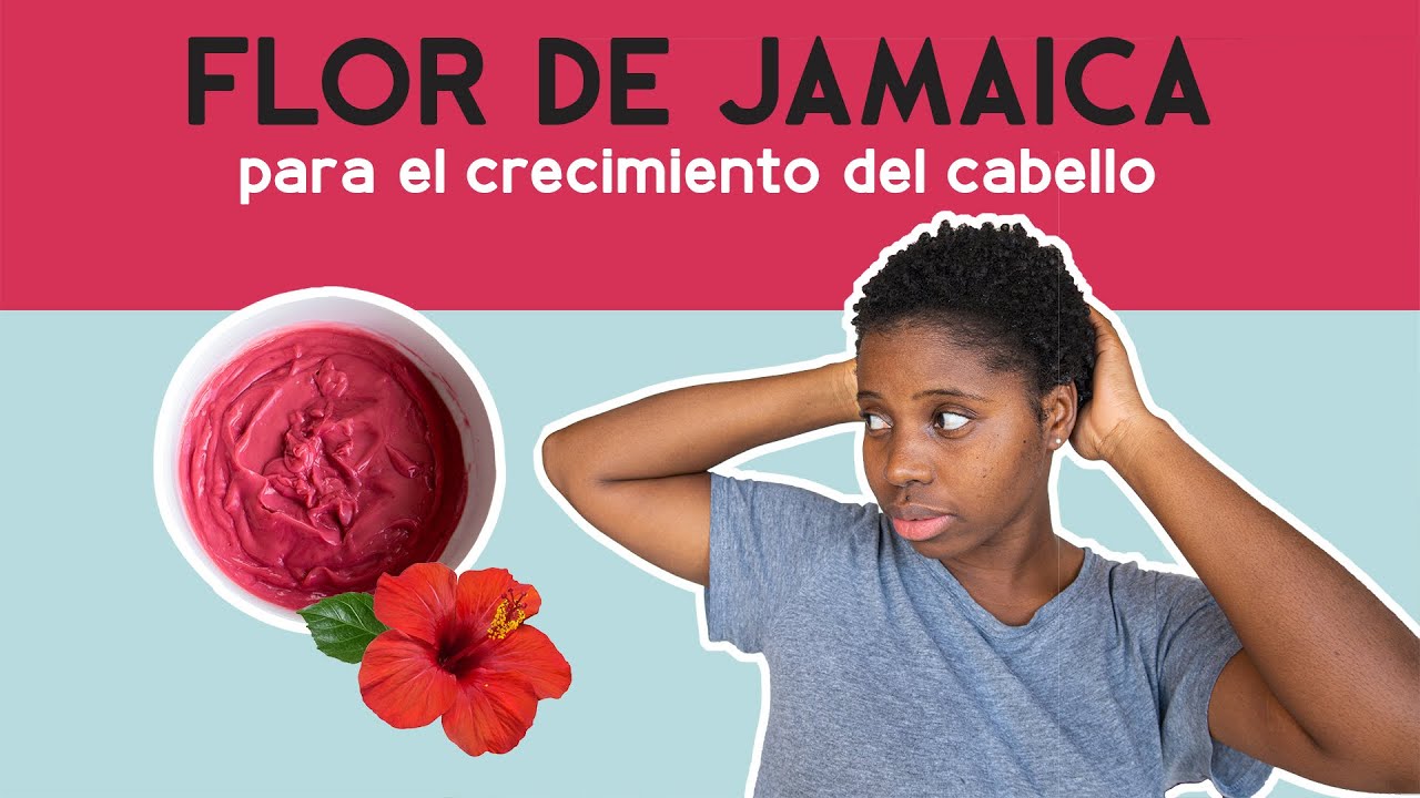 FLOR DE JAMAICA PARA EL CABELLO