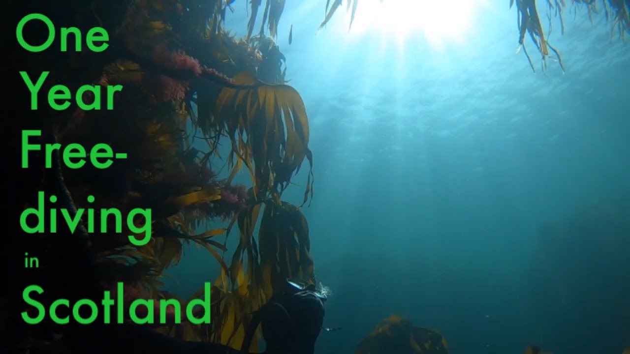 My first year Freediving in Scotland