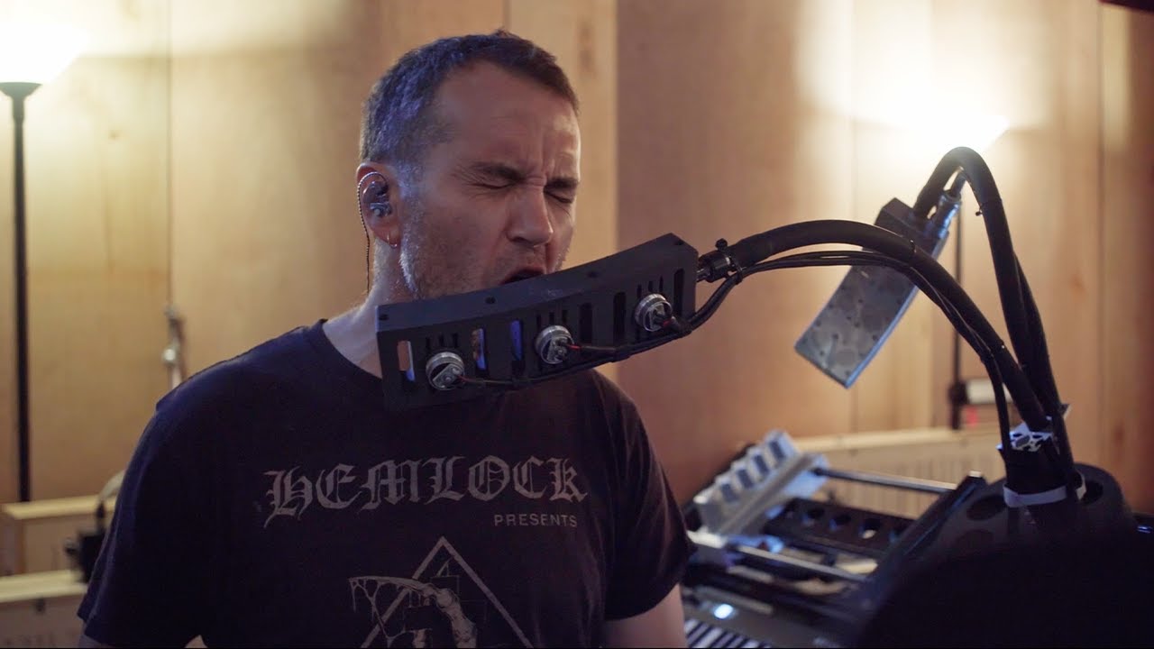 AUTHOR & PUNISHER - Nocturnal Birding Tour Prep