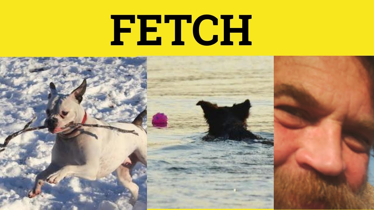 🔵 Fetch - Fetch Meaning - Fetch Examples - Fetch in a Sentence