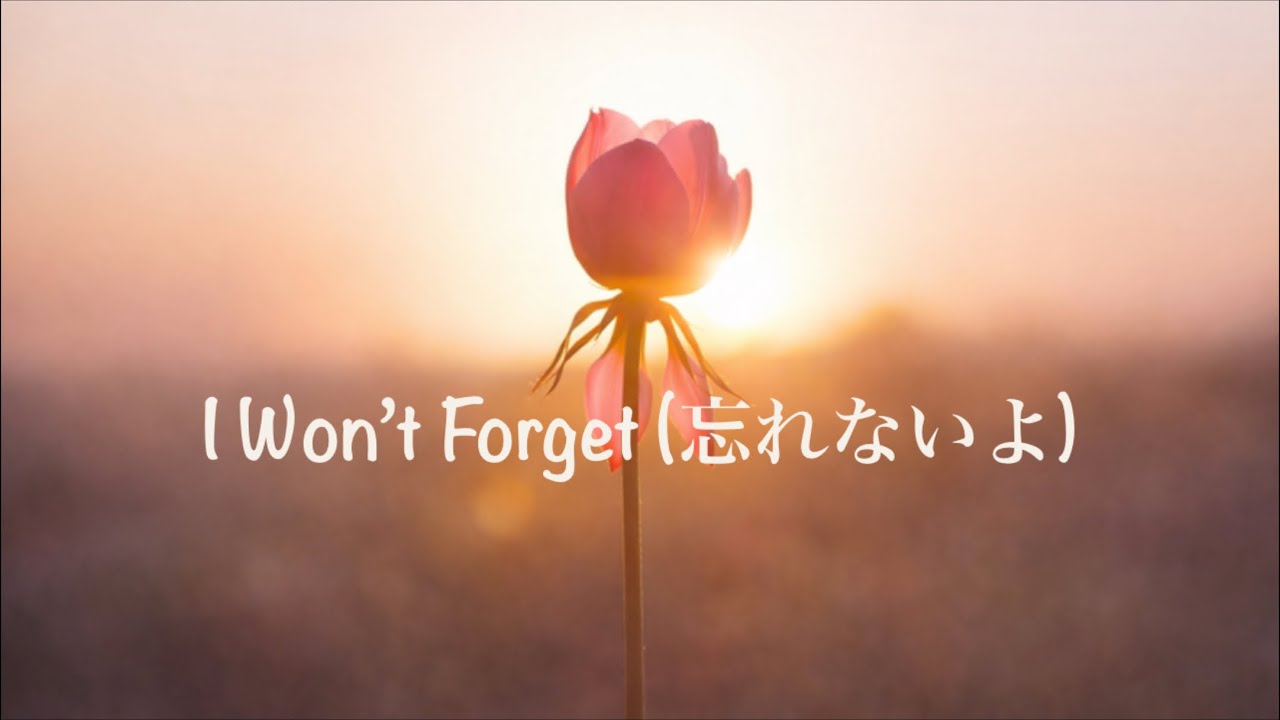 I Won‘t Forget (忘れないよ)