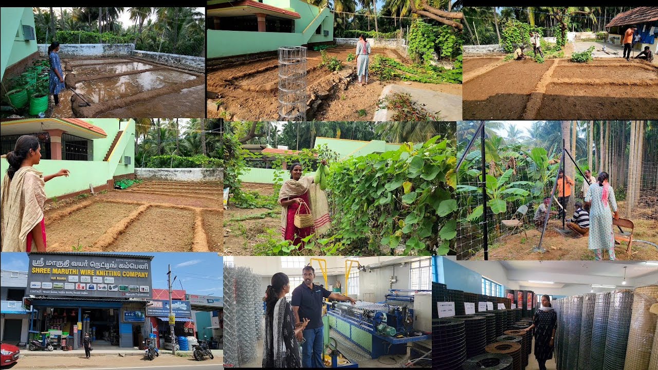 ஒரு லட்சம்! நம்ம தோட்டத்துல கம்பிவேலி போட்டாச்சுங்க/New vegetable garden update/ garden fencing idea