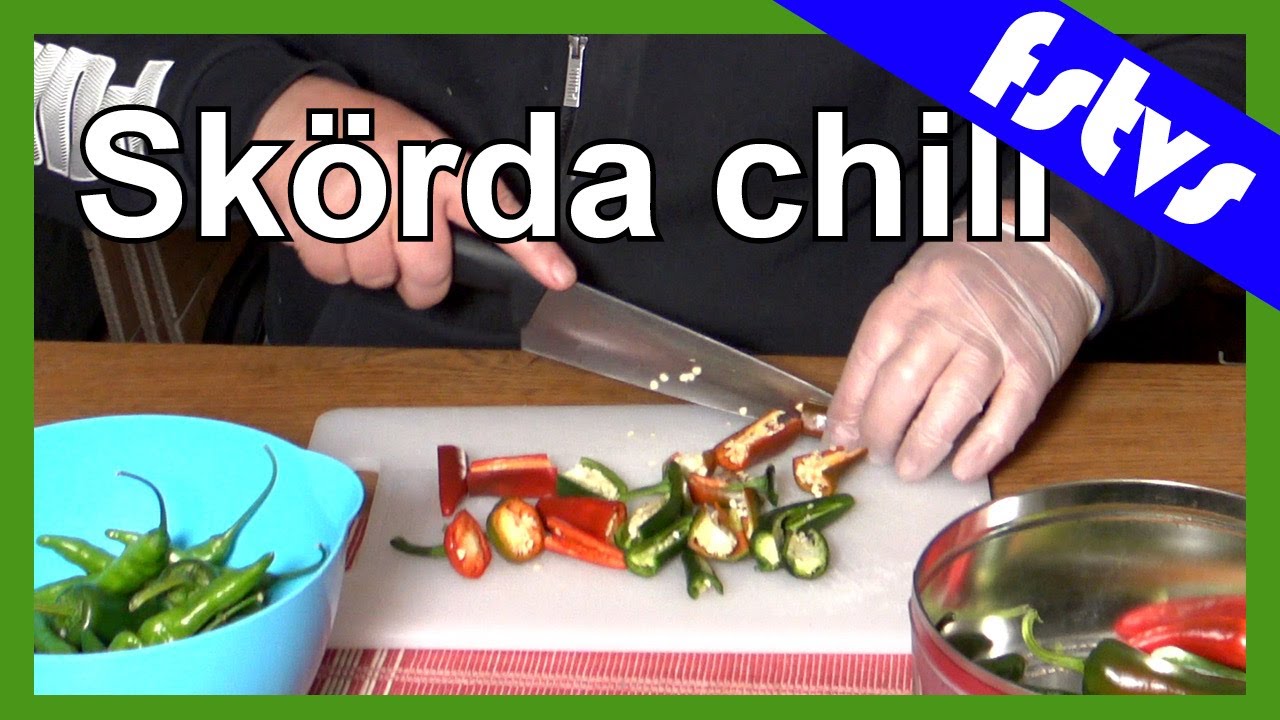 Dags att skörda chili