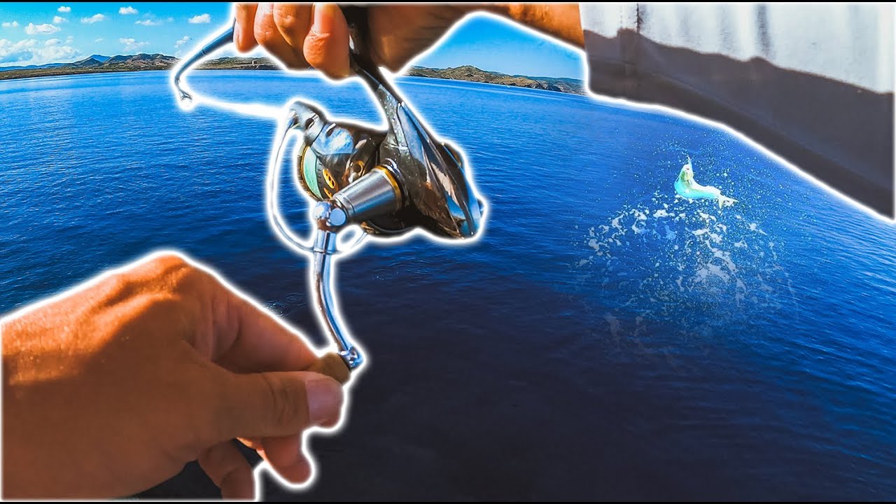 Cómo HAGO PICAR los PECES [Llampugas a SPINNING] SIN CORTES