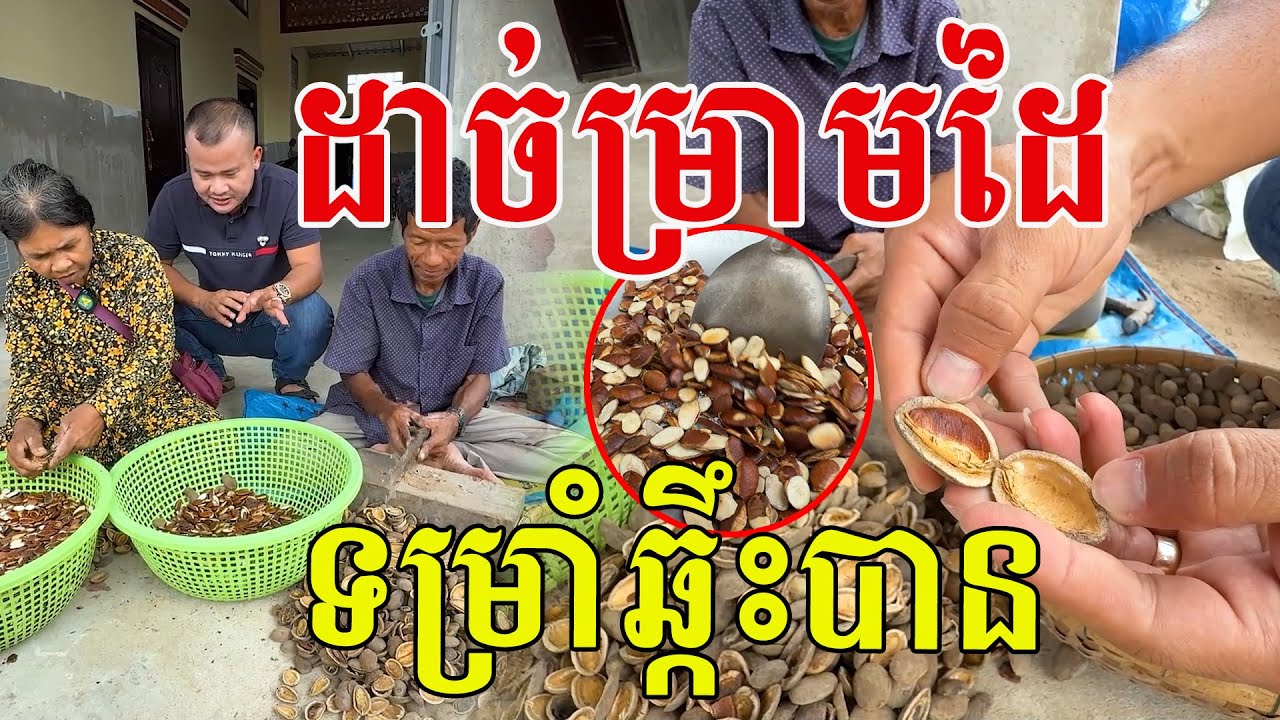 ប្រេងធម្មជាតិ​ ល្អខ្លាំងណាស់​ ចាស់ៗគាត់ចេះច្នៃ