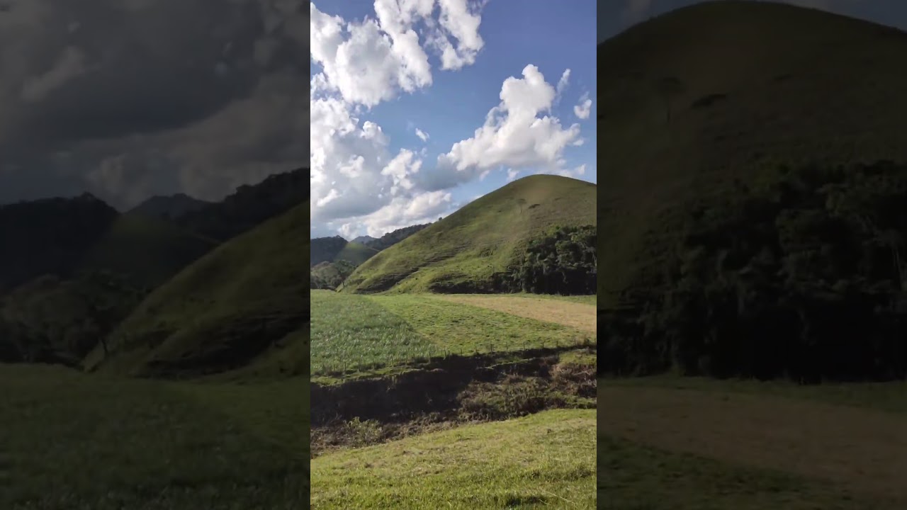 limpeza de pasto