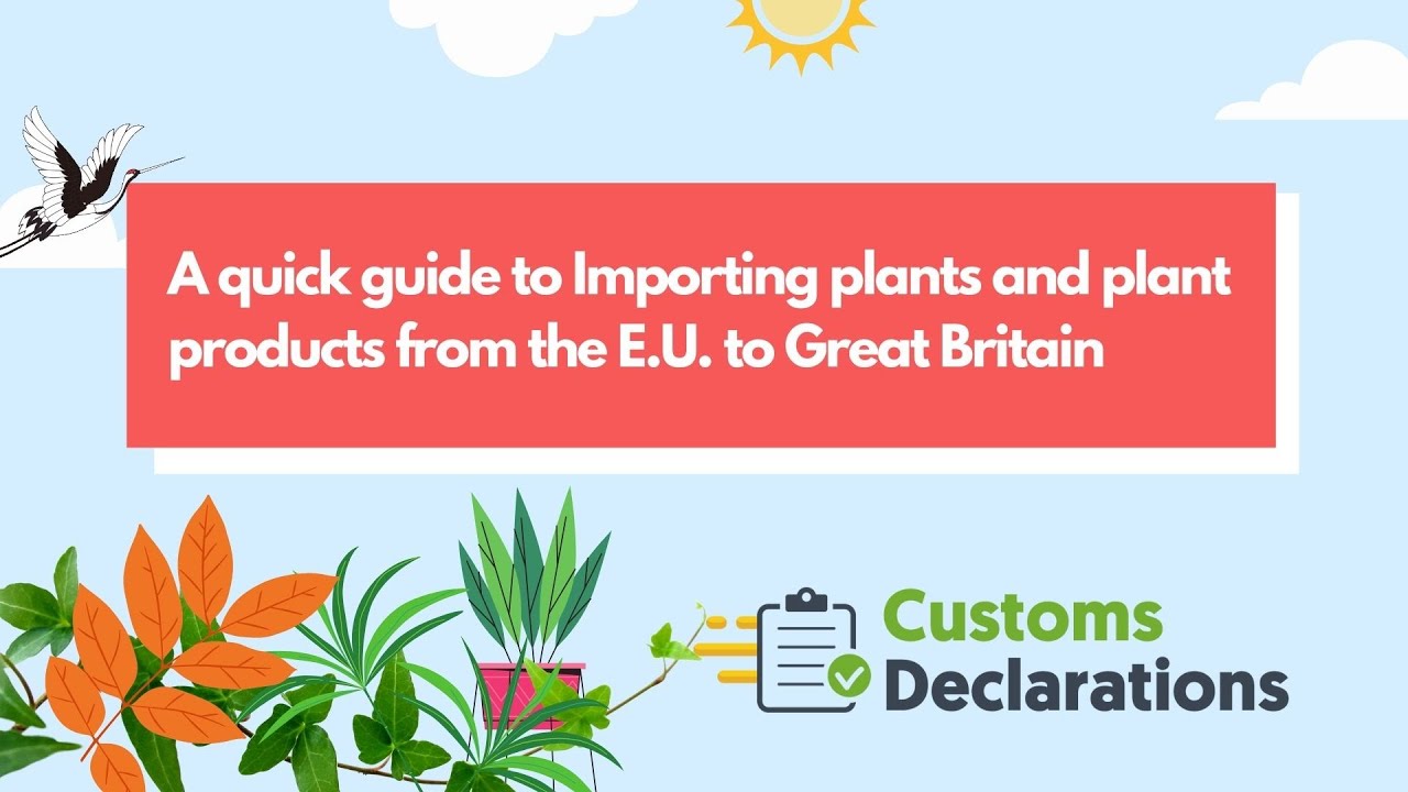 Customs Declarations A quick guide to Importing plants and plant products from the E U  to UK